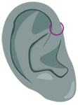 Piercing oreille hélix avant