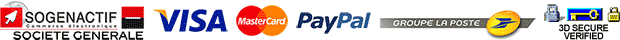 Visa MasterCard Paypal