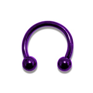 Purple Anodized Circular Barbell w/ Balls
