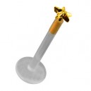 14K Yellow Gold Push-Fit Bioflex Labret Piercing Bar Stud w/ Embossed Star
