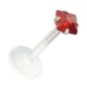 Medusa-Piercing Stecker Bioflex Push-Fit Quadrat Rot