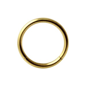 Conch- / Labret-Piercing Segment-Ring Eloxiert Golden