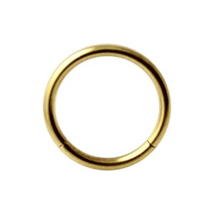 Piercing Labret / Segment Ring Eloxiert Golden