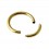 Piercing Labret / Segment Ring Eloxiert Golden 2