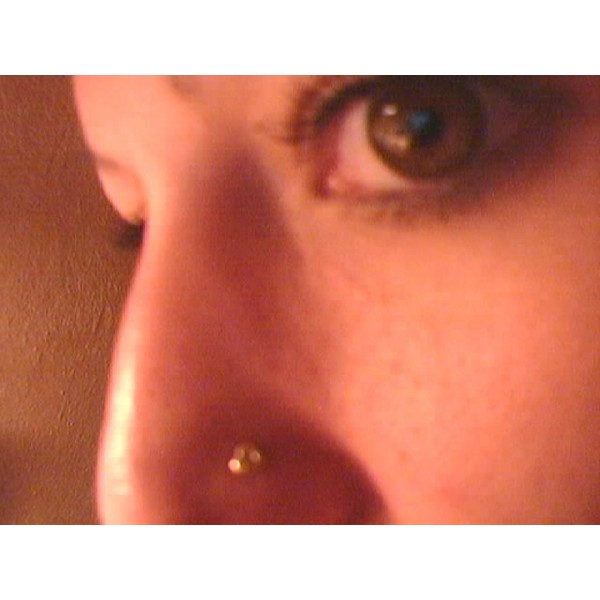 Piercing Picture 2586