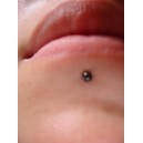 Piercing Picture 2678