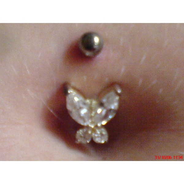 Piercing Picture 2739