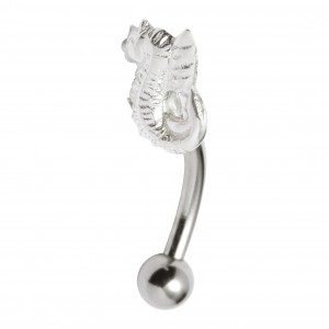 Seahorse 925 Silver & 316L Steel Fancy Eyebrow Curved Bar Ring