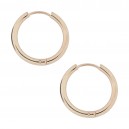 Ohrringe Stahl 316L Einfacher Ring Eloxiert Golden Rosa