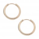Rose Gold Anodized Simple Hoop 316L Steel Earrings Ear Pair