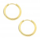 Ohrringe Stahl 316L Einfacher Ring Eloxiert Golden