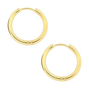 Ohrringe Stahl 316L Einfacher Ring Eloxiert Golden