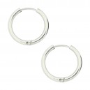 Ohrringe Stahl 316L Einfacher Ring Metallisiert
