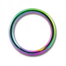 Grade 23 Titanium Labret/Conch Segment Ring w/ Rainbow Anodization