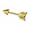 Gold Anodized Arrow 316L Steel Tragus/Helix Piercing Jewel Bar