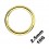 2.5mm/10G Gold Anodized Big Size Segment/Genital Piercing Ring