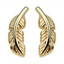 Ohrringe Stud Chirurgenstahl 316L Eloxiert Golden Feder