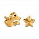 Embossed Star Molded Gold PVD 316L Steel Earrings Ear Studs Pair
