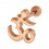 Piercing Helix Stahl 316L Eloxiert Gold Rosa OM Buddhist