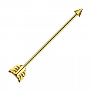 Industrial-Piercing Eloxiert Golden Pfeil