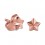 Embossed Star Molded Pink PVD 316L Steel Earrings Ear Studs Pair