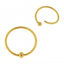 Flexible Gold Anodized 316L Steel BCR Thin Ring