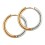 Rose Gold/Metallized Bicolor Simple Hoop 316L Earrings Ear Pair