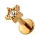 Rose Gold Plain Strass Star 316L Steel Cartilage Ring Helix Piercing