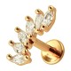 Helix-Piercing Stahl 316L Gold Rosa Bogen 5 Strass Marquise Weiß