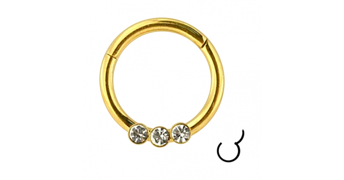 Anneau Septum Piercing Lotus En Acier 316L - 8/10 Mm, Calibre 16, Avec CZ, Pour Daith, Helix, Créole, Femmes/hommes - 2