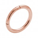 Clicker-Ring-Piercing 925 Silber Plattiert Gold Rosa Scharnier