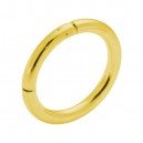 Clicker-Ring-Piercing 925 Silber Plattiert Gelbes Gold Scharnier