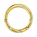Daith-Piercing Clicker-Ring Eloxiert Golden 5 Weiße Verkrustete Strass