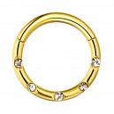 Piercing Daith Ring Clicker Eloxiert Golden 5 Weiße Verkrustete Strass