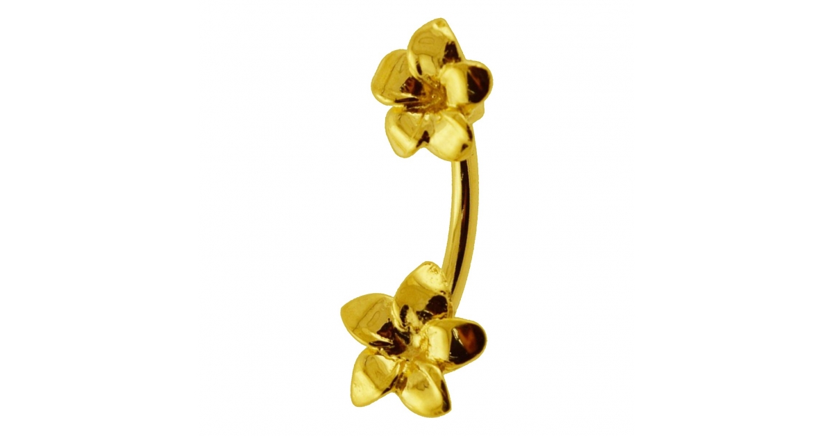 Piercing Nombril Titane Hypoallergénique - Or Ou Argent, 14G, Fileté Interne, Styles Cœur Fleur Papillon - 5