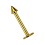 Micro-Labret-Piercing 1.0 mm / 18 G Eloxiert Golden Mini-Spitze