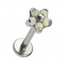 Piercing Labret Titan 23G Innengewinde Blume 5 Synth Opale Weiße