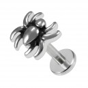 Knorpel-Piercing Stahl 316L Kleine Spinne Geformt Metallisiert