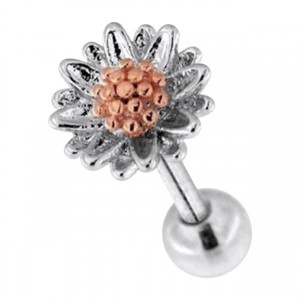 Helix-Piercing Stahl 316L Blume & Pollen Eloxiert Gold Rosa