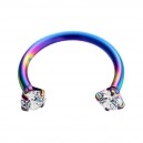 White Claws CZ Strass Rainbow Anodized Circular Barbell Ring