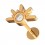 Helix-Piercing Stahl 316L Sonnenuntergang Geformt Gold Rosa