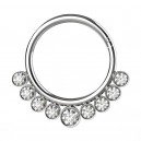 Daith-Piercing Clicker Metallisiert Scharnier 9 Strass Wei&szlig;e
