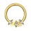 Daith-Piercing Clicker Eloxiert Golden 3 Strass Marquise Wei&szlig;