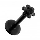 Labret-Piercing Push-Fit Stahl 316L Eloxiert Schwarz Blume Strass Schwarz