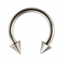 Circular 316L Surgical Steel Barbell w/ Spikes