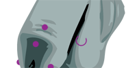 Liste der M&auml;nnlichen Genital- und Intimpiercings