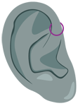 Forward-Helix-Ohrpiercing