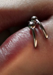 Spiderbites-Piercing