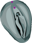 Weibliches intimes Genitalpiercing Christina