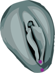 Weibliches intimes Genitalpiercing Fourchette